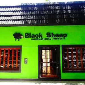 Black Sheep International Hostal